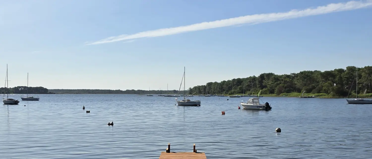Le lac de Lacanau et sa forêt de pins