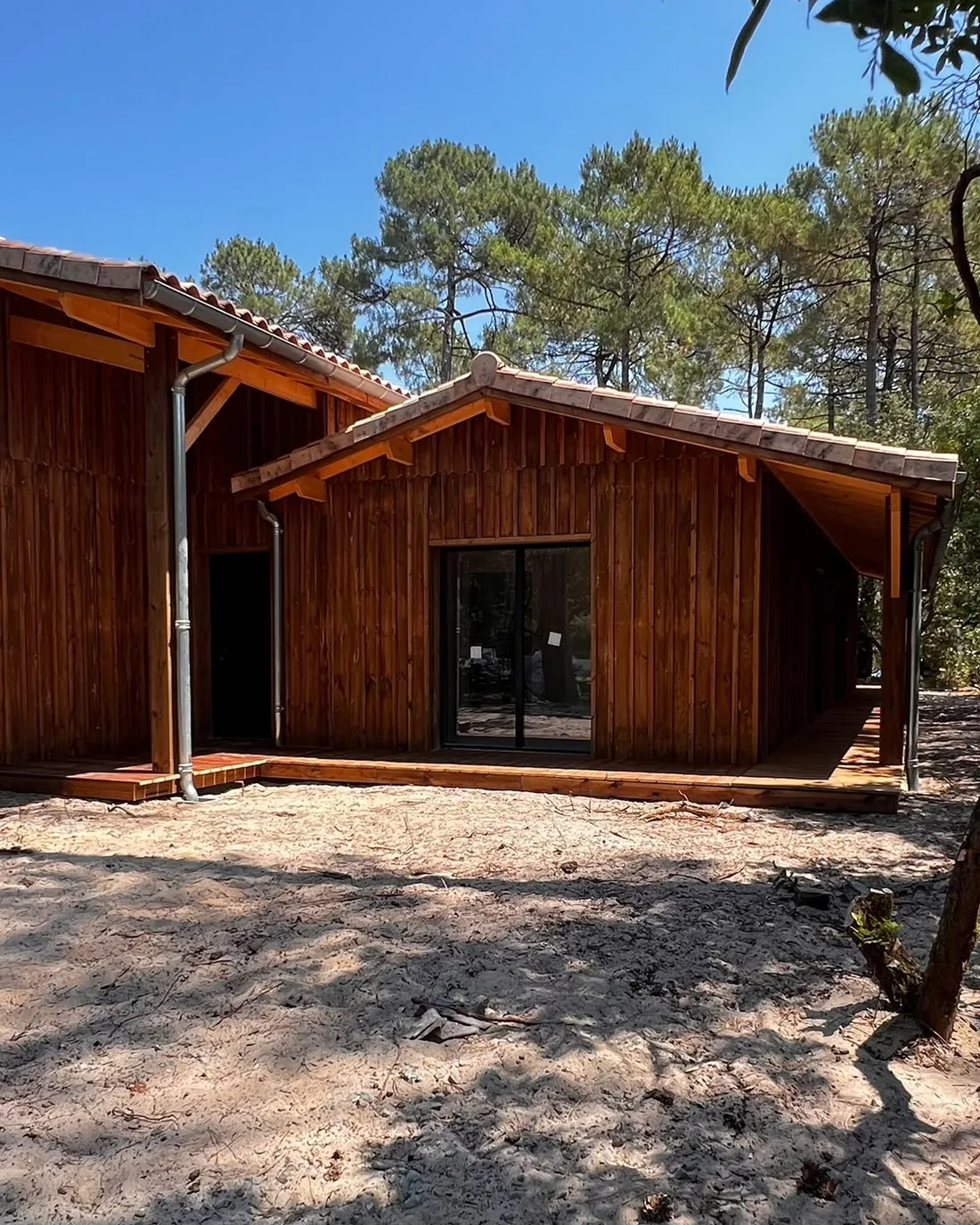 Maison à ossature bois au bardage vertical, sous les pins, en fin de chantier